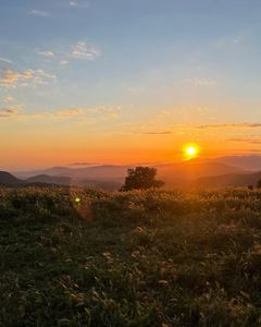 Instagram post by @nickkarebian