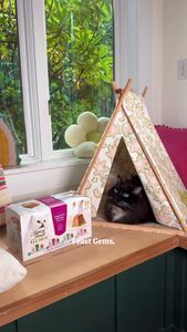 Instagram post by @annikamarieee