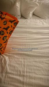 Instagram post by @fromgoudatogreat