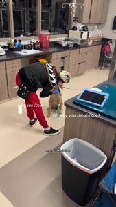 Instagram post by @thesurfingpetvet