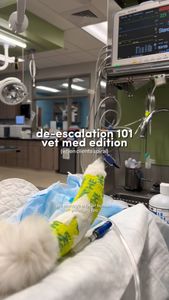 Instagram post by @thesurfingpetvet