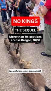 Instagram post by @momsfororegon