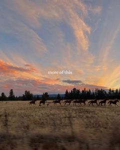 Instagram post by @momsfororegon