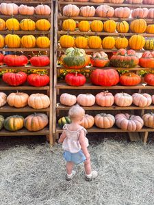 Instagram post by @josslynabel