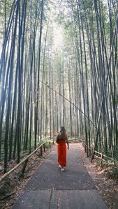 Instagram post by @wheretonextyall