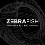 @zebrafishneuro Instagram Profile