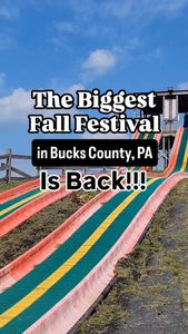 Instagram post by @wildkidswander