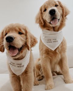 Instagram post by @beaux.and.oatie