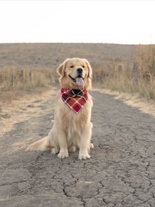 Instagram post by @beaux.and.oatie