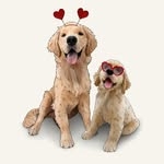 @beaux.and.oatie Instagram Profile