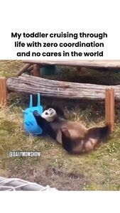 Instagram post by @dailymomshow