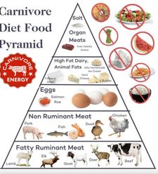 Instagram post by @carnivoreenergy