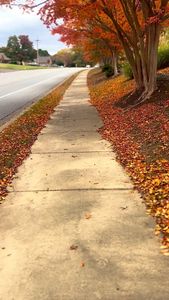 Instagram post by @thuyanannn