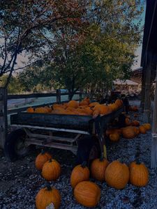 Instagram post by @thuyanannn