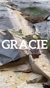 Instagram post by @jcookepaleo