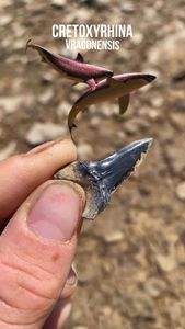 Instagram post by @jcookepaleo