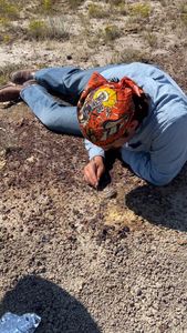 Instagram post by @jcookepaleo