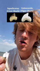 Instagram post by @jcookepaleo