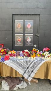 Instagram post by @comrade_psilo