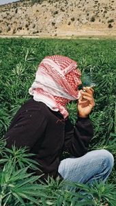 Instagram post by @comrade_psilo