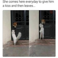 Instagram post by @catcurio