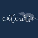 @catcurio Instagram Profile