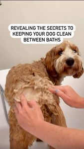 Instagram post by @that.dood.knox