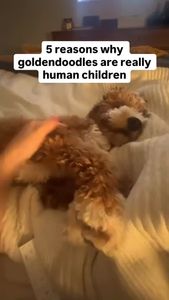 Instagram post by @that.dood.knox