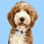 @that.dood.knox Instagram Profile