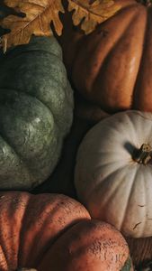 Instagram post by @karenlozag