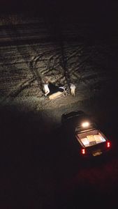 Instagram post by @bradschaefer_