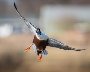 Instagram post by @bradschaefer_