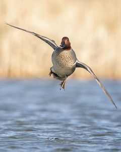 Instagram post by @bradschaefer_