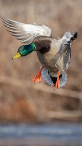 Instagram post by @bradschaefer_