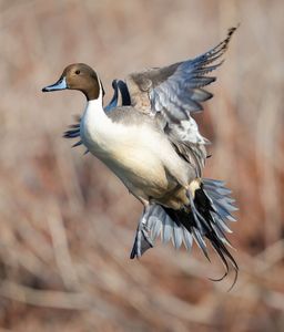 Instagram post by @bradschaefer_