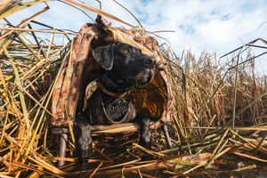 Instagram post by @bradschaefer_