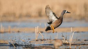 Instagram post by @bradschaefer_