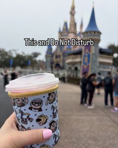 Instagram post by @magicaltorguide