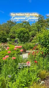 Instagram post by @prisrecs