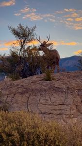 Instagram post by @newmexico_foodie_in_fashion