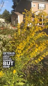 Instagram post by @andrew_the_arborist