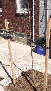 Instagram post by @andrew_the_arborist