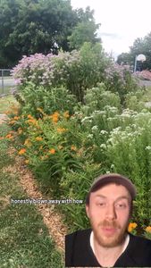 Instagram post by @andrew_the_arborist