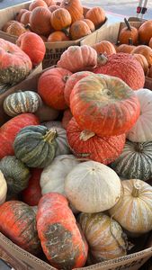 Instagram post by @iamkarissaduncan1