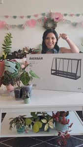 Instagram post by @darlinggreenthings