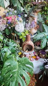 Instagram post by @darlinggreenthings