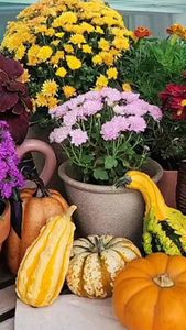 Instagram post by @darlinggreenthings