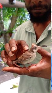 Instagram post by @garden_marcus