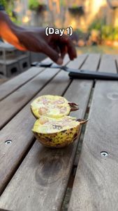 Instagram post by @garden_marcus