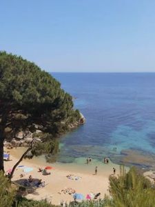 Instagram post by @irishfrecklegirl